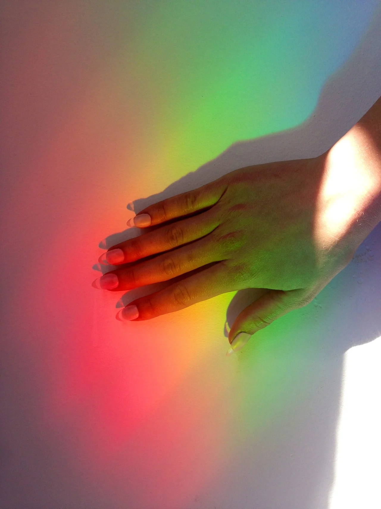tumblr_mlgzp5C2AI1r1455ro1_1280.jpg