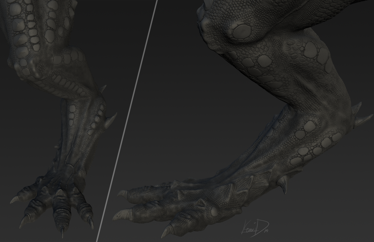 Dragon_wholeLegCU.png