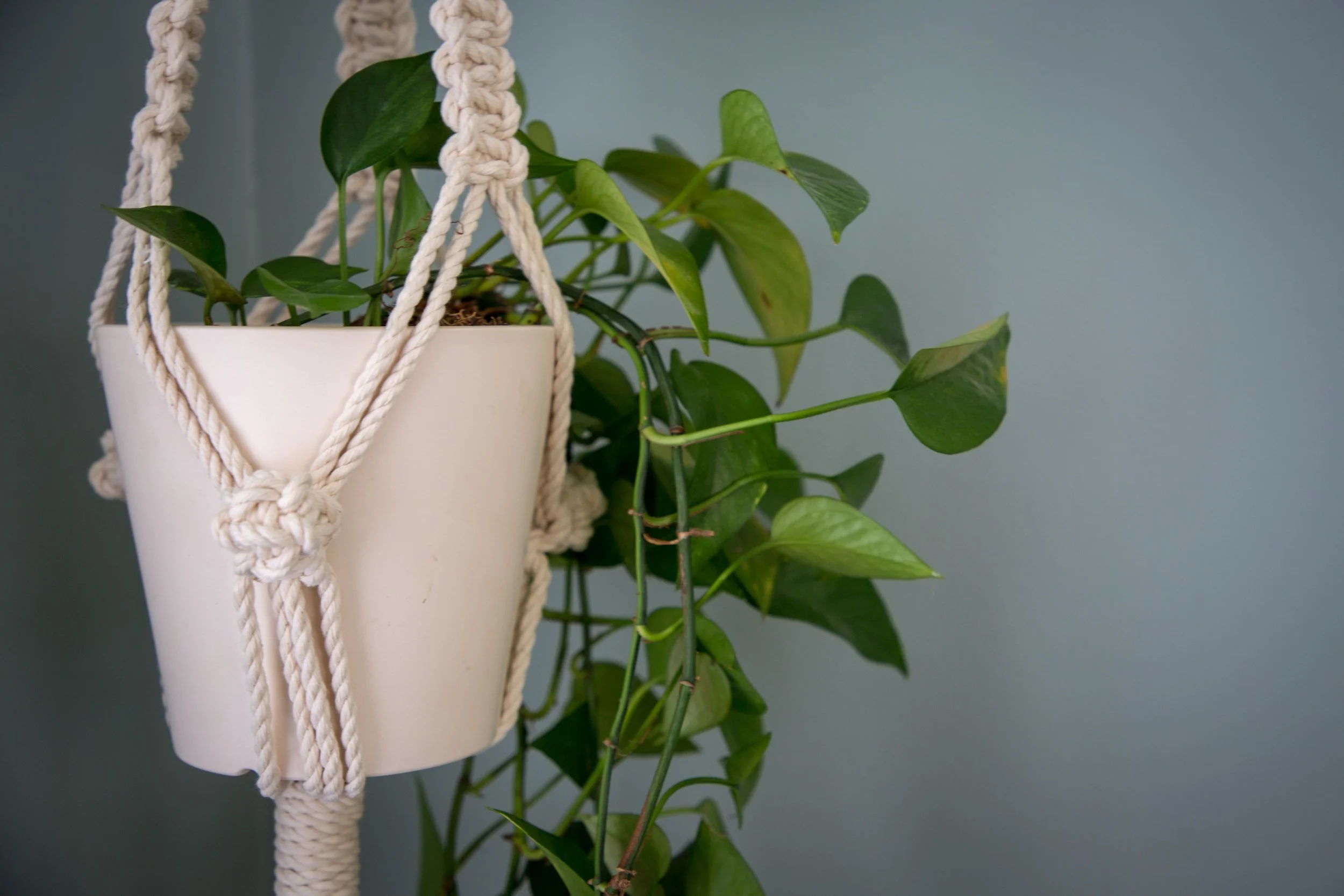 EtsyUpdateJuly2018-15.jpg