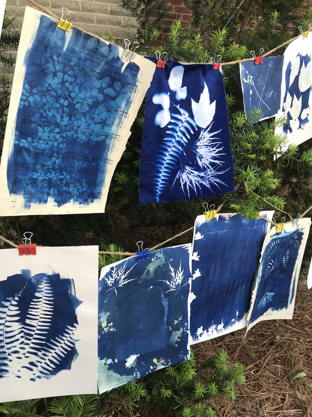 Your complete guide to cyanotype printing - Gathered
