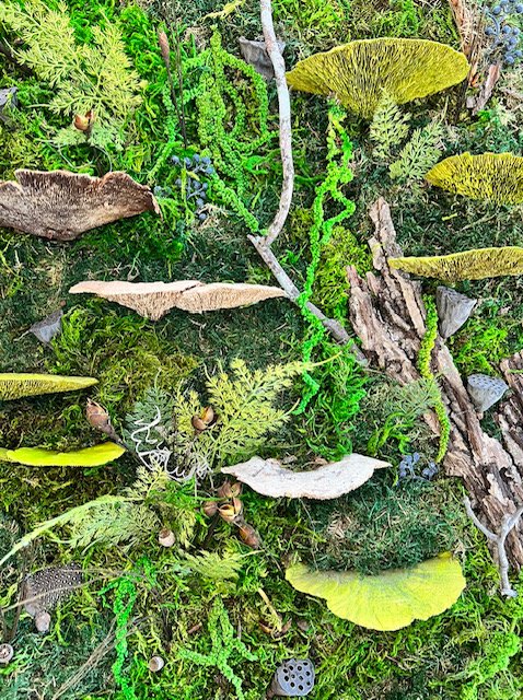 Top 7 FAQs about Preserved Moss Art