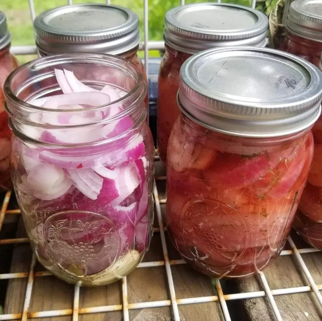 Water Bath Canning 101 Pickled Onions INPERSON CLASS — The Chattery