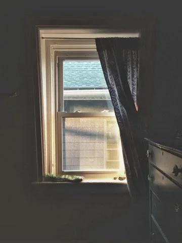 window mary oliver.jpg