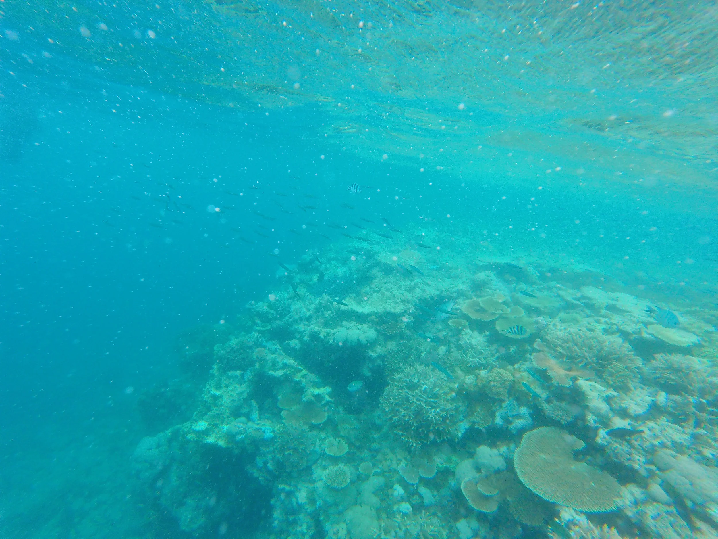 GOPR2986.jpg