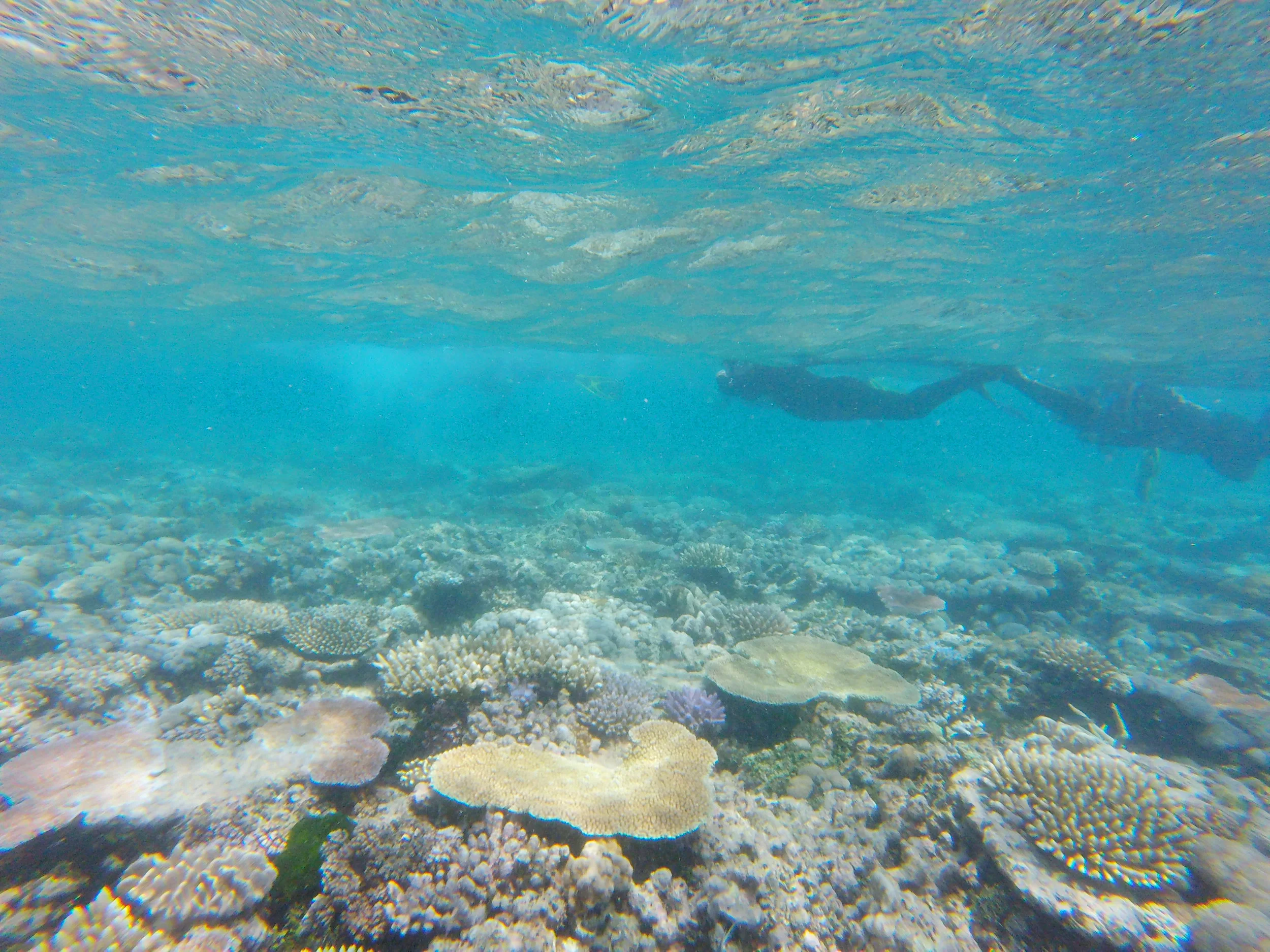 GOPR3003.jpg