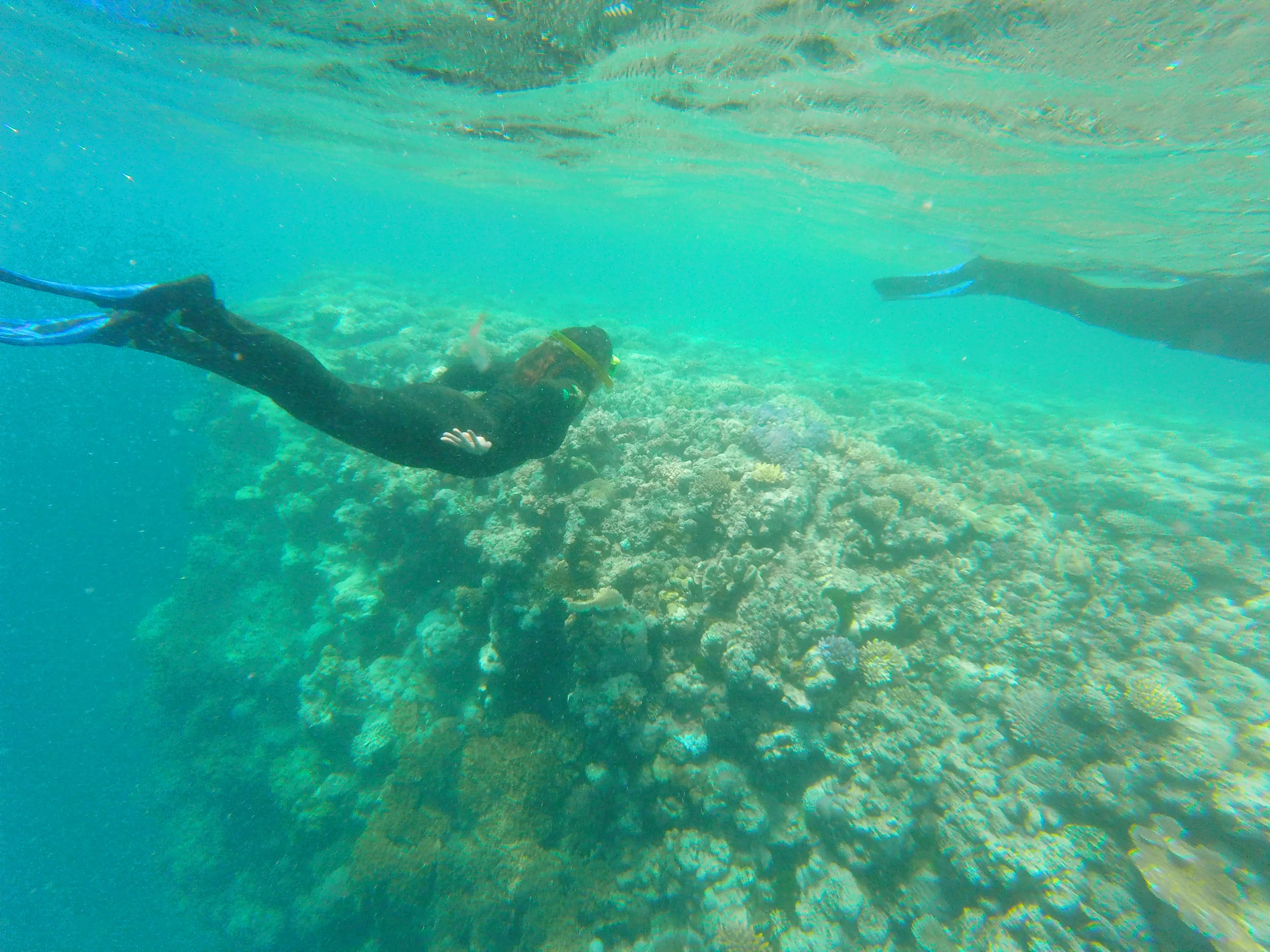 GOPR3016.jpg