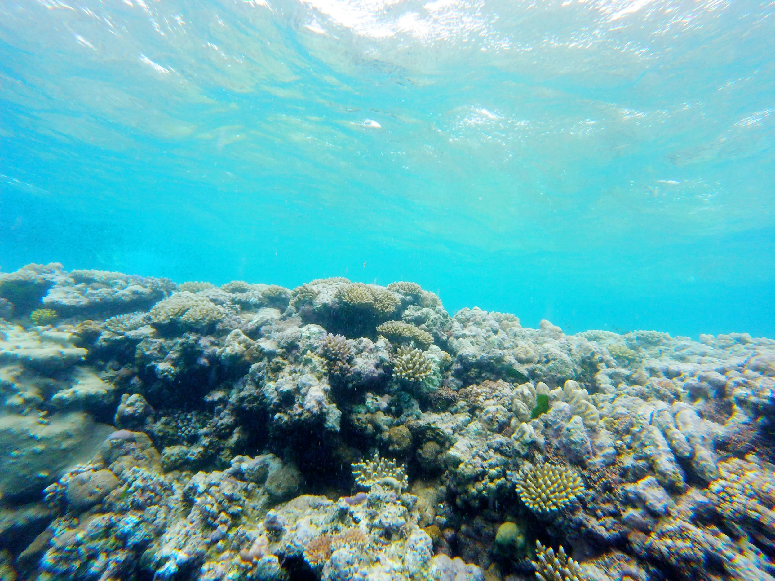 GOPR3060.jpg