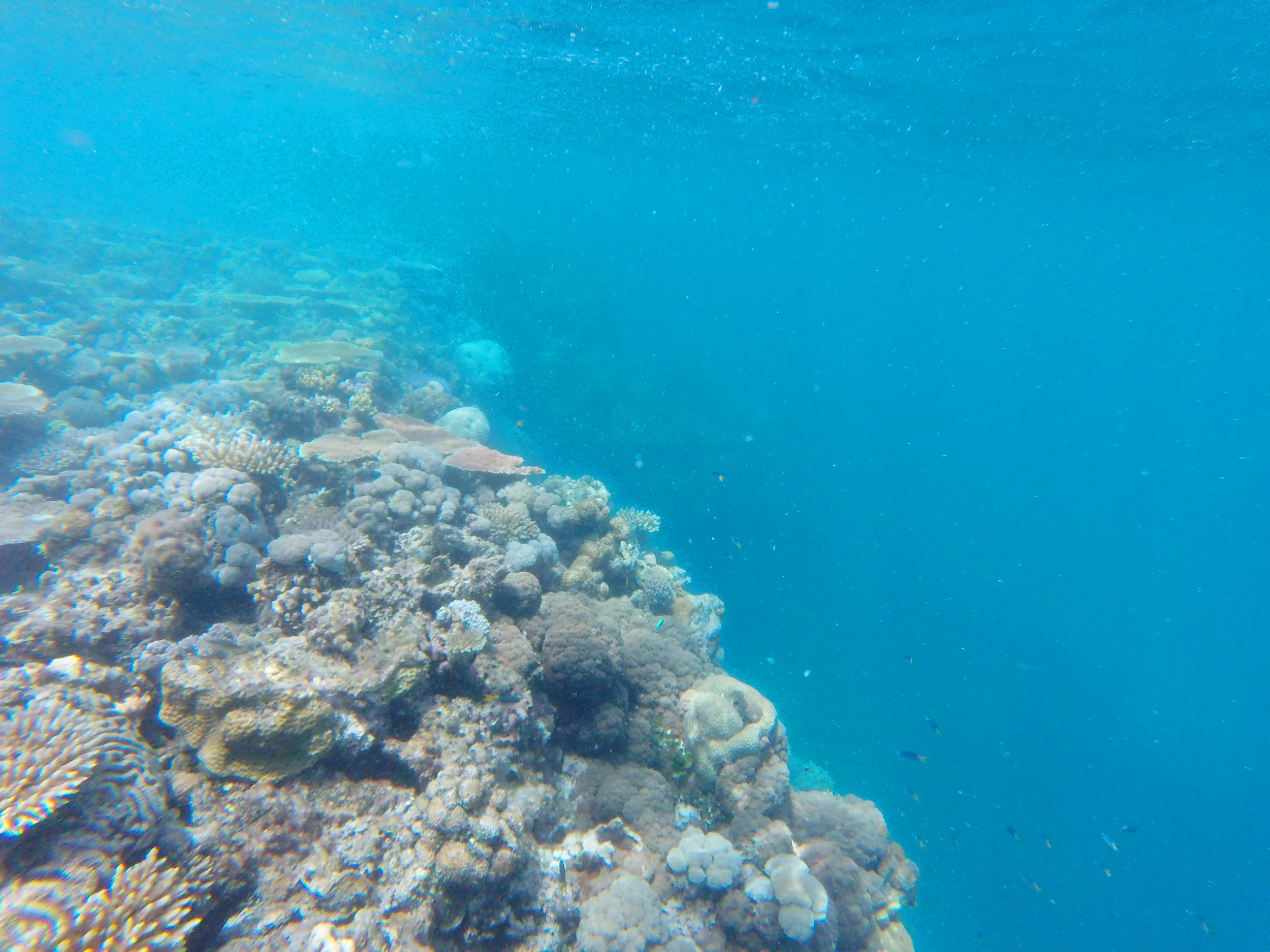 GOPR3071.jpg