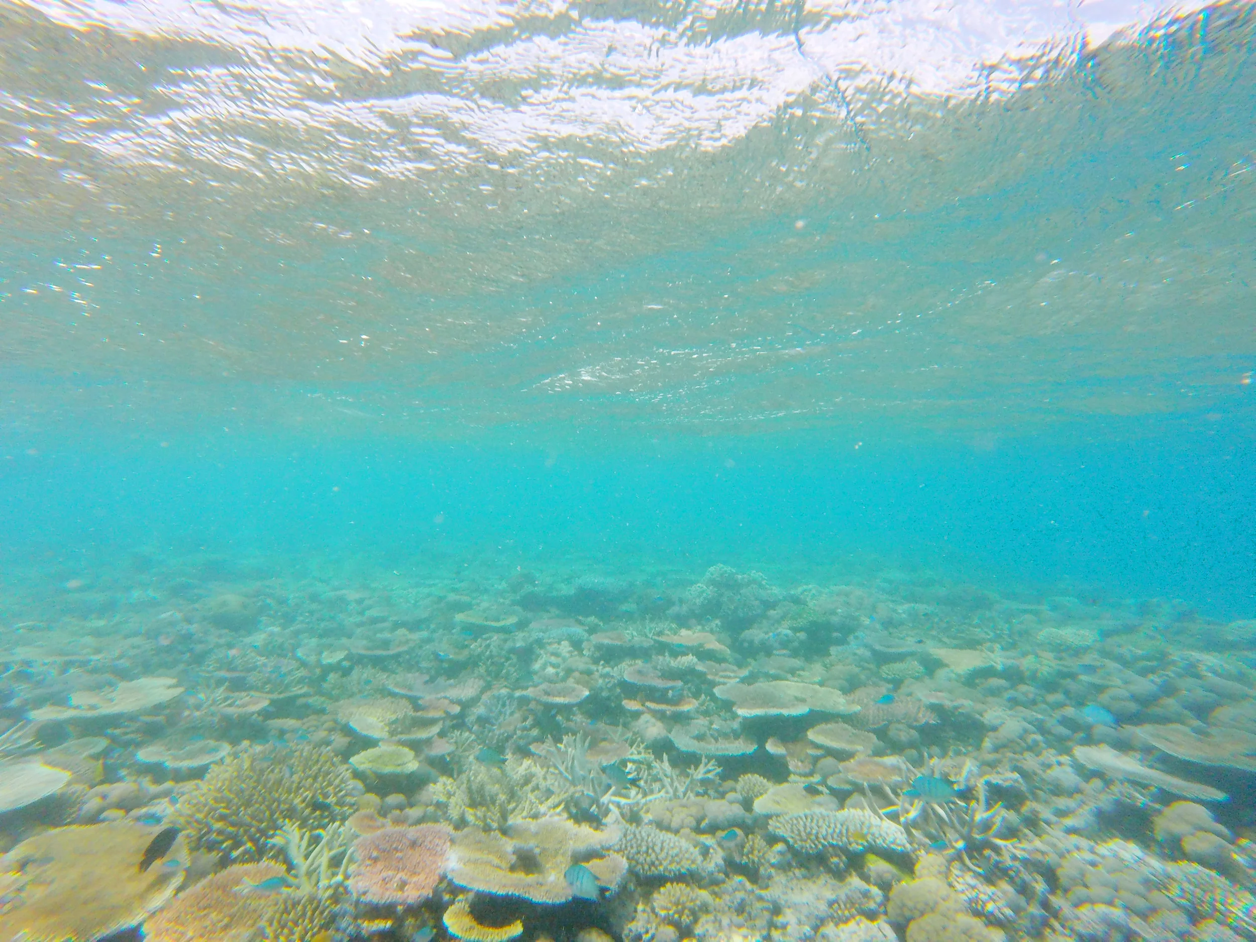 GOPR3074.jpg