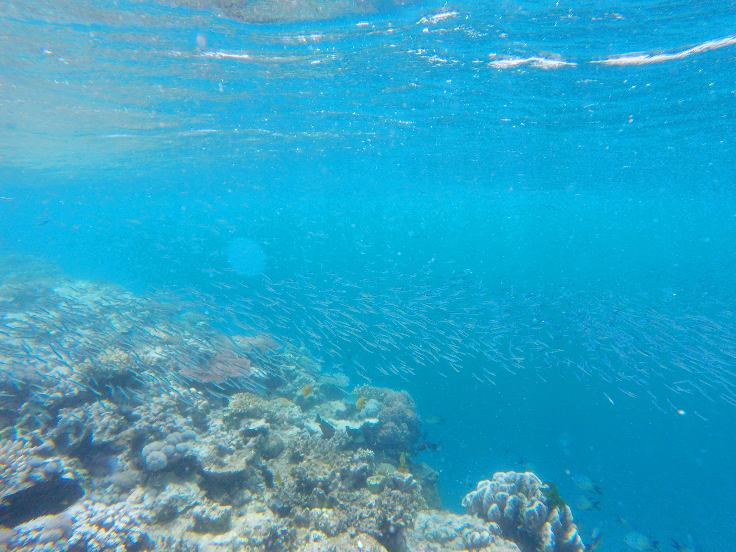 GOPR3082.jpg