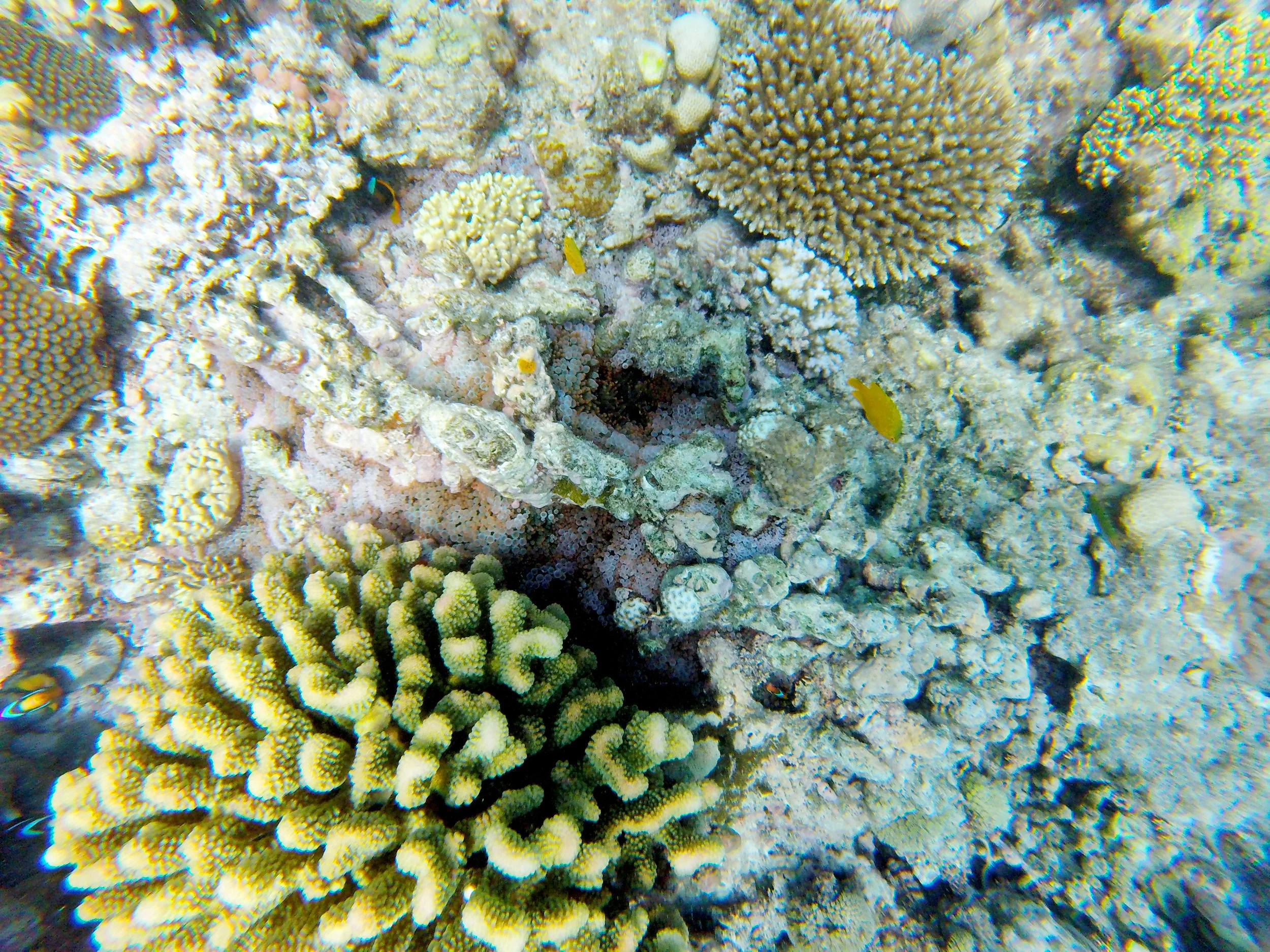GOPR3100.jpg