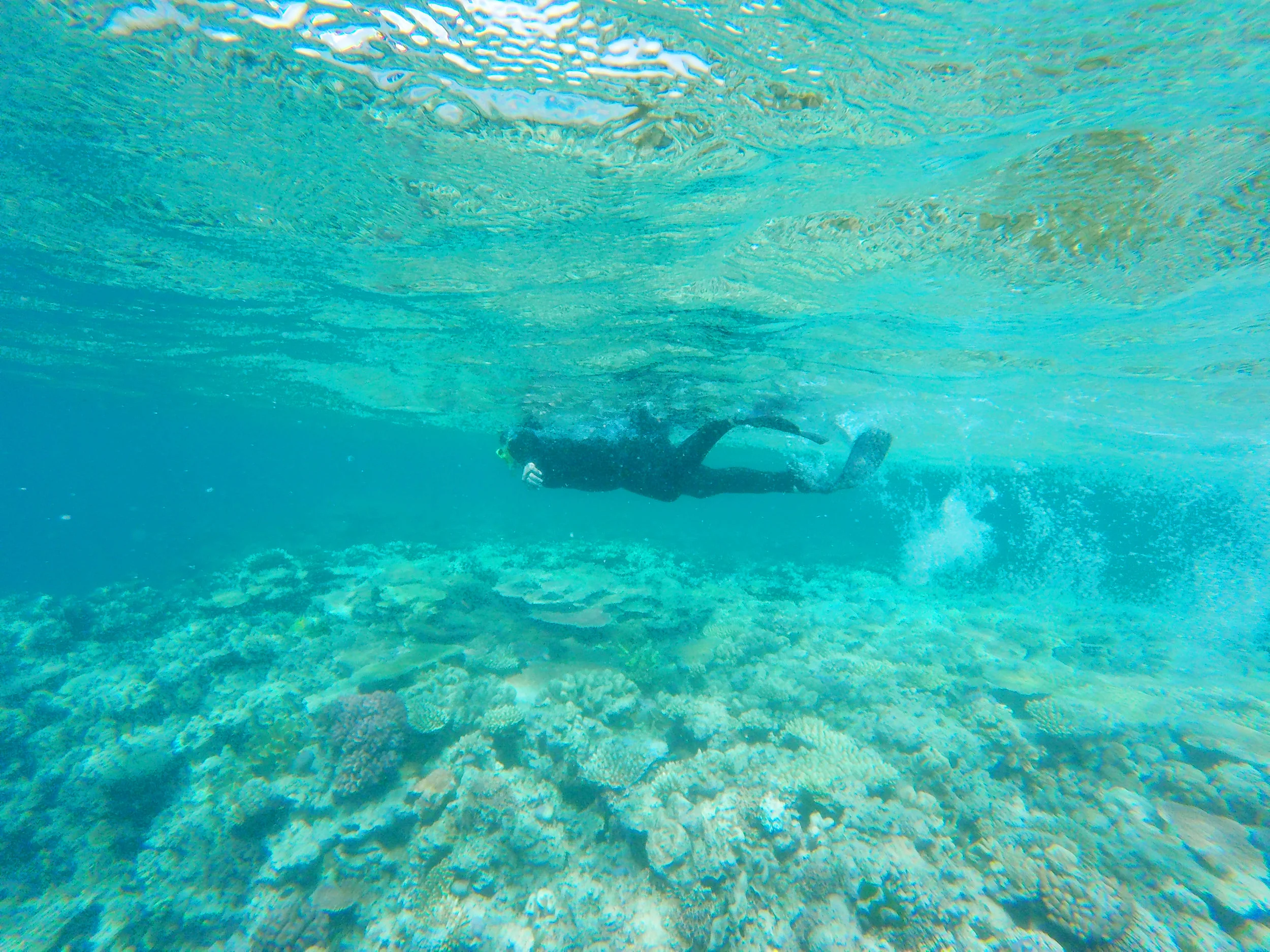 GOPR3106.jpg