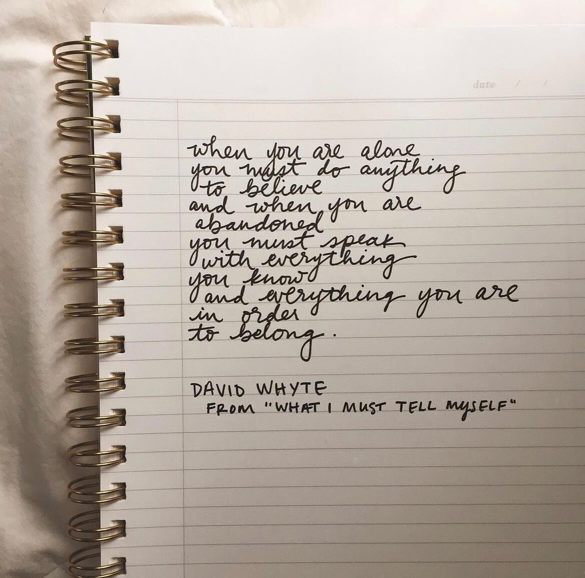 My love for @davidjwhyte is beginning to rival my love for Mary Oliver. I want to write down his words forever, and commit them to memory. Hand writing poetry in my journal is one of the first ways that I started to fall in love with handwriting, and