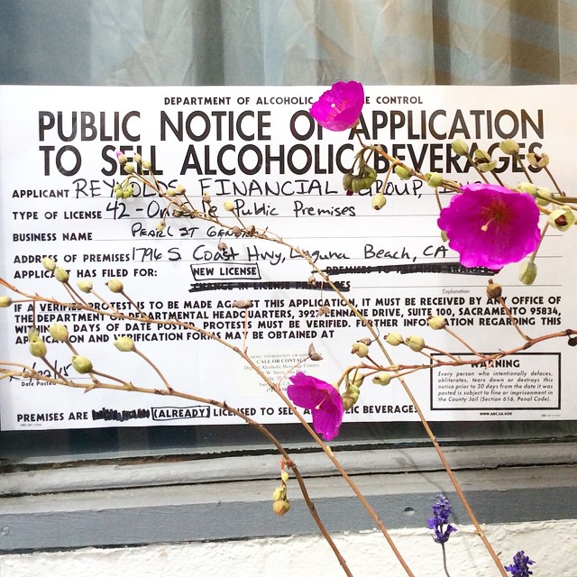 Beer and Wine Bar coming soon to Pearl St.π·πΎπΊπΏ Come swing by! #pearlstdistrict #pearlstgeneral #localstore #wine #beer