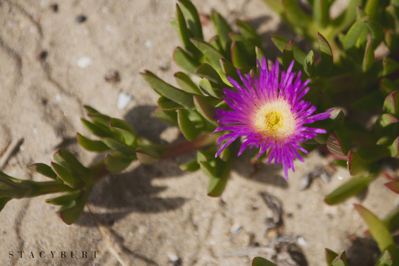 20140422_5058crpclrmttw.jpg