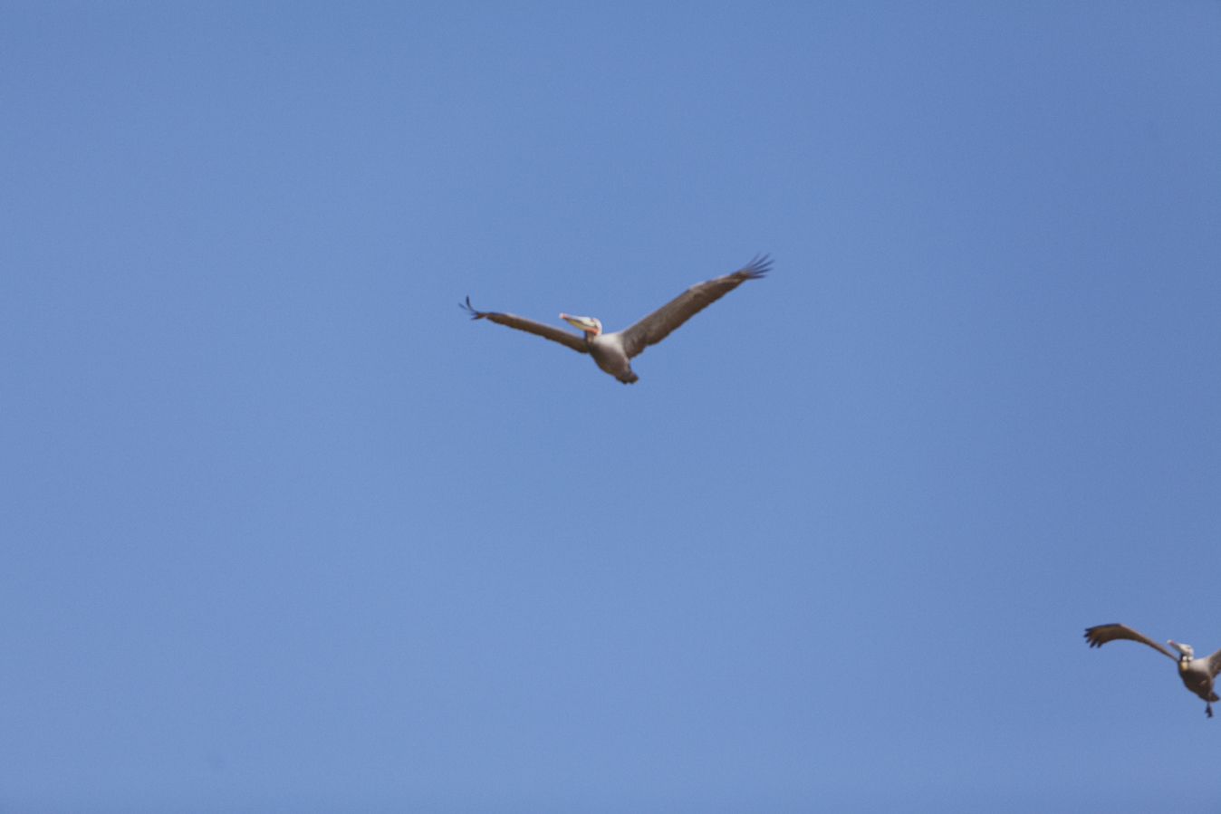 20140424_6594w.jpg
