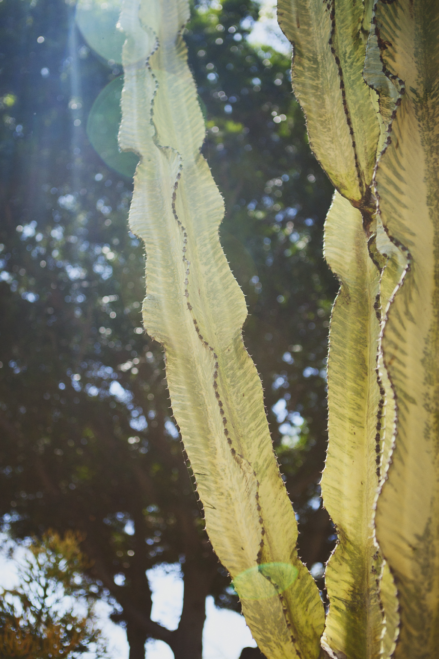 20140424_5805w.jpg