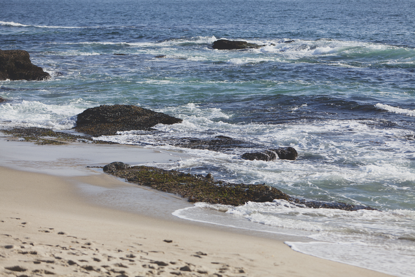 20140424_6599w.jpg
