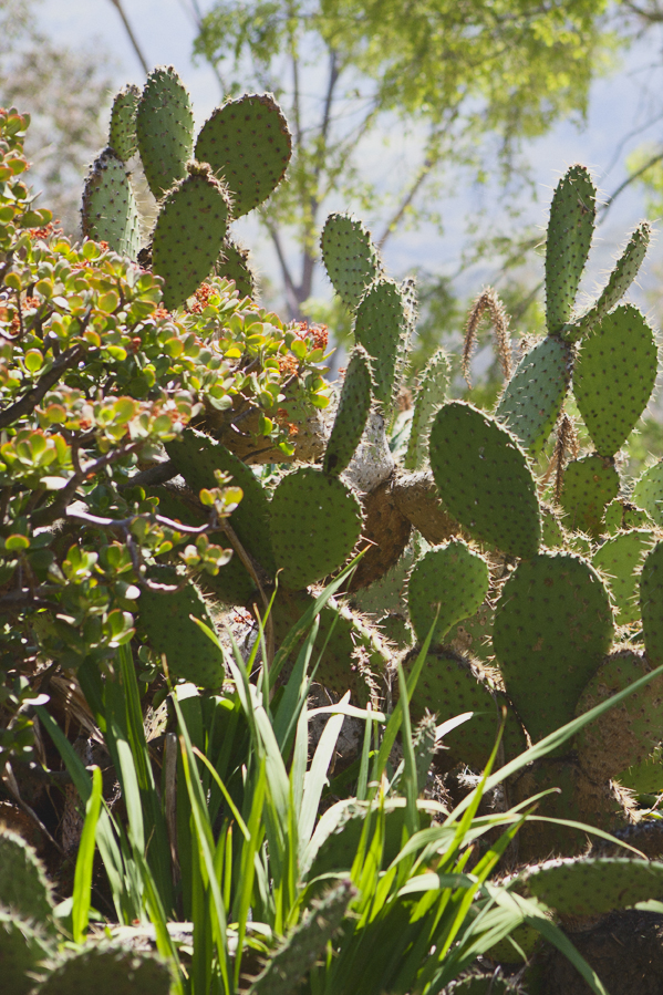 20140424_6000w.jpg