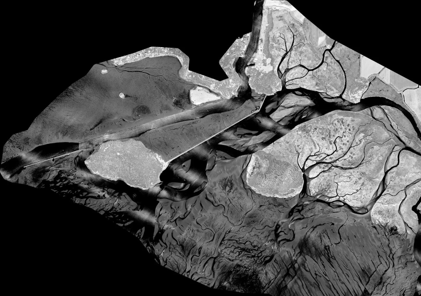 Swinomish Lidar Intensity 1.jpg