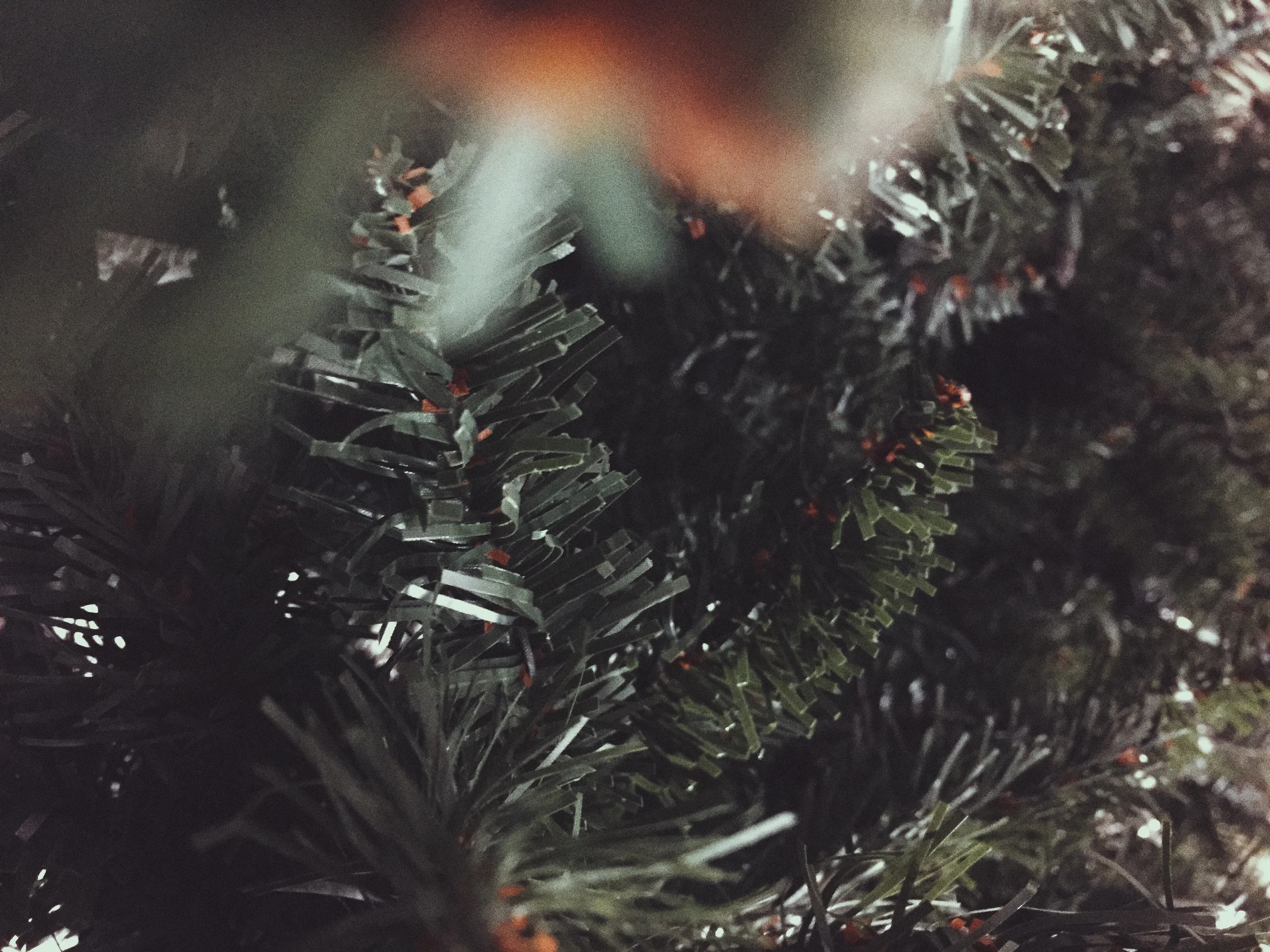 vsco-photo-1 copy.jpg