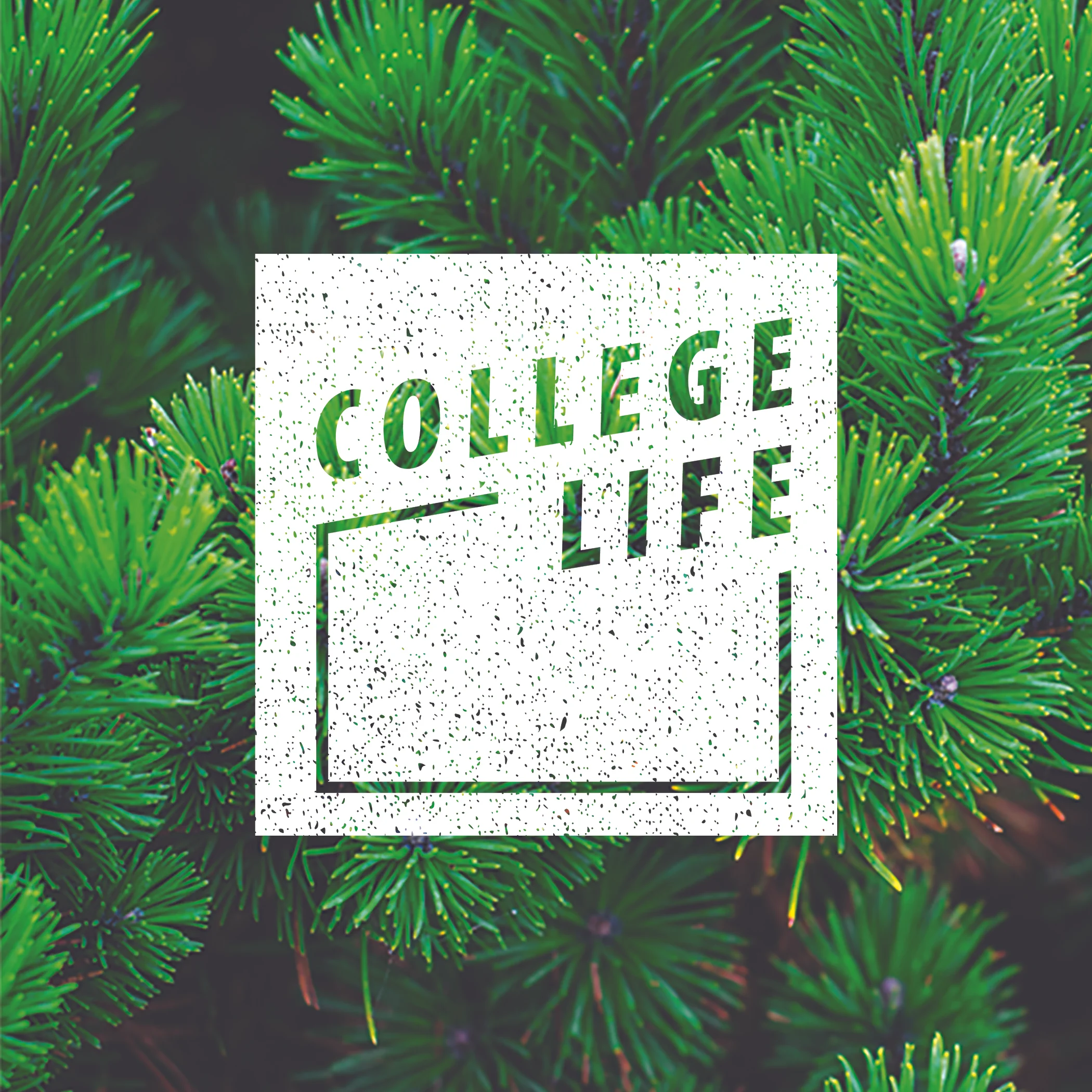 College Life Christmas Party