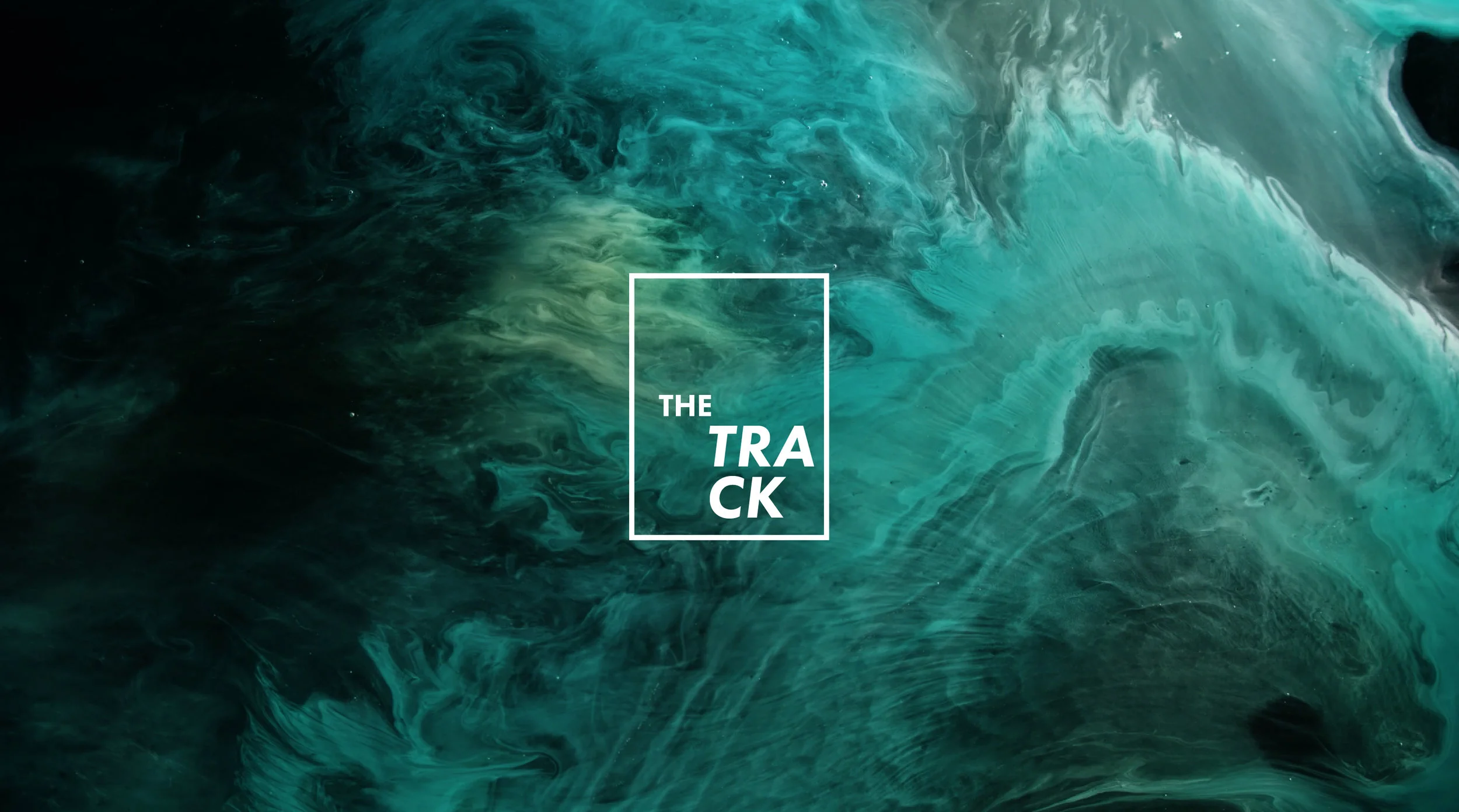 The Track_Banner_Artboard 2 copy.jpg