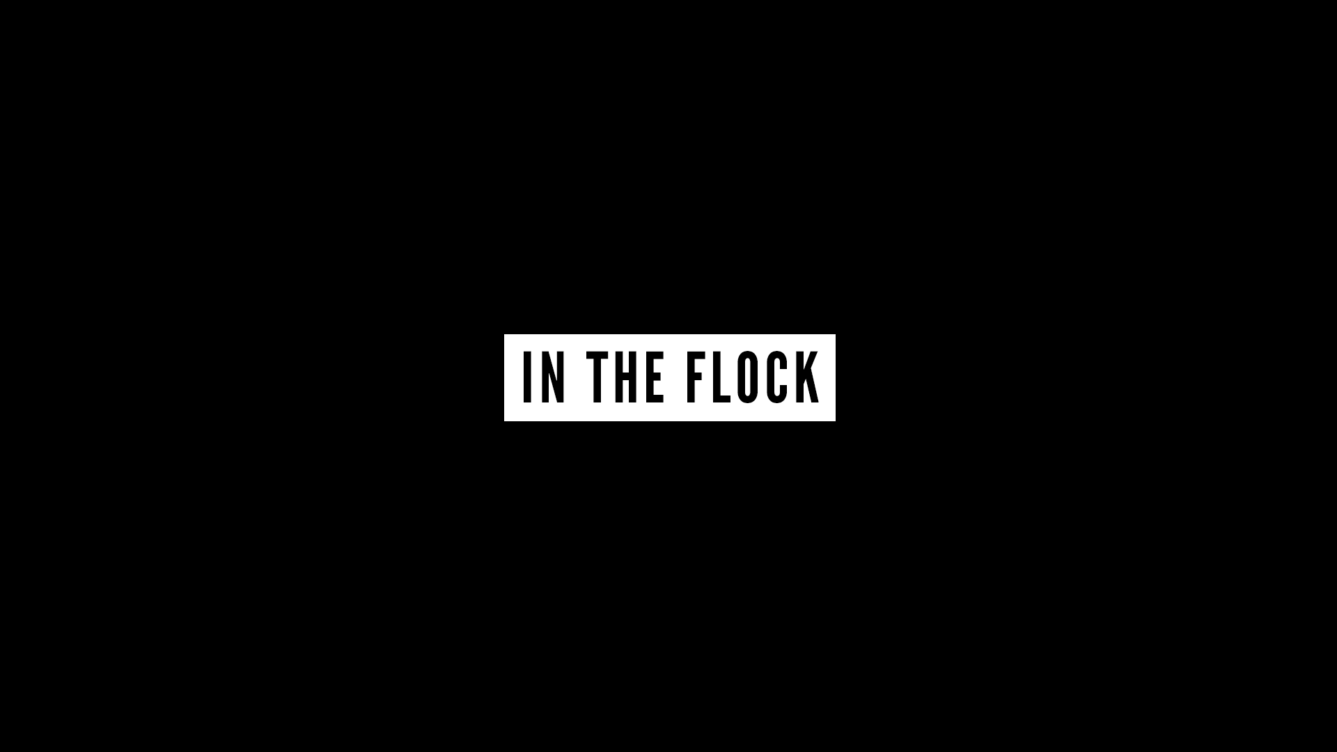 In The Flock