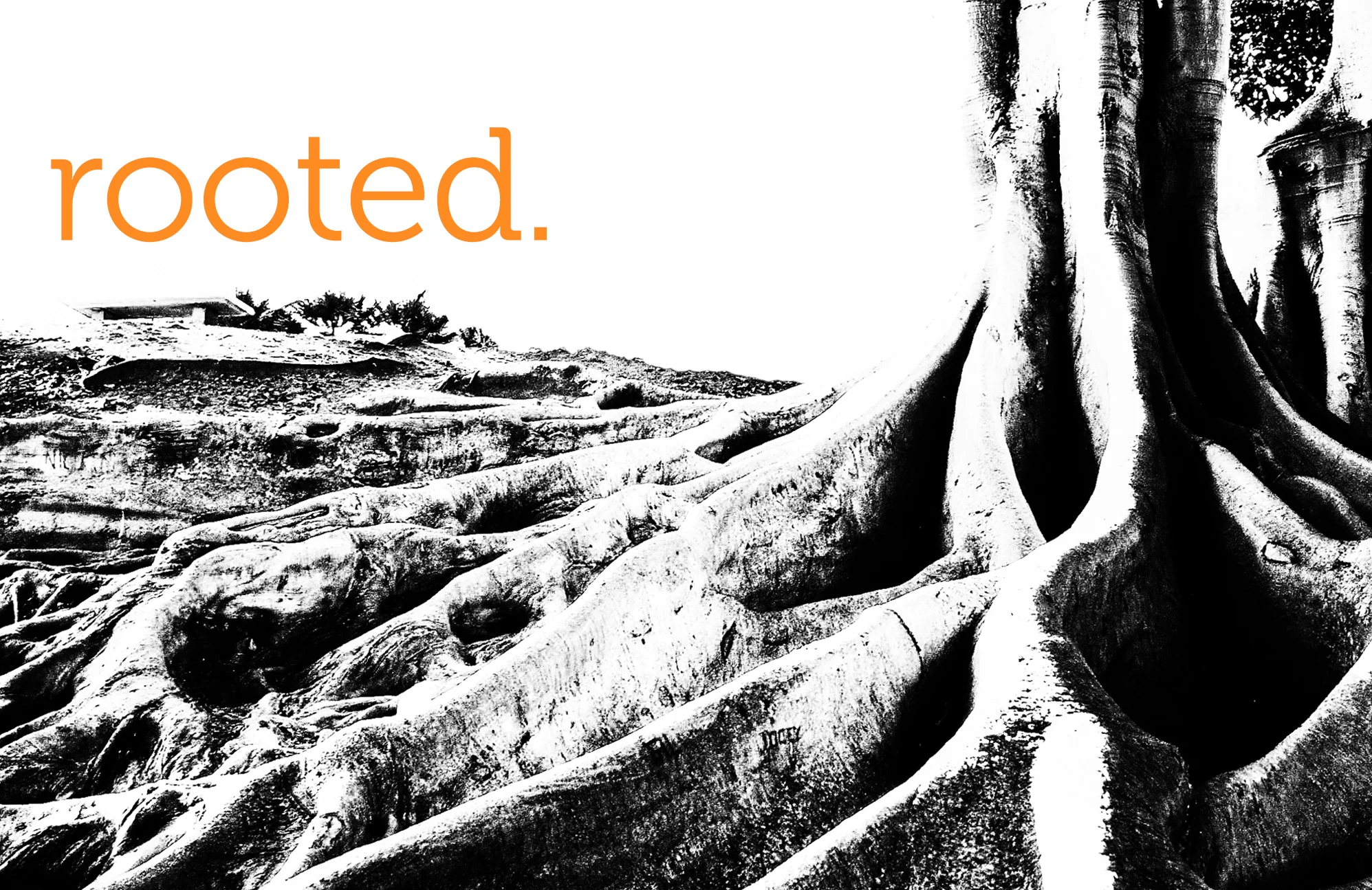 Rooted Week 6: Spiritual Discipline of Confession