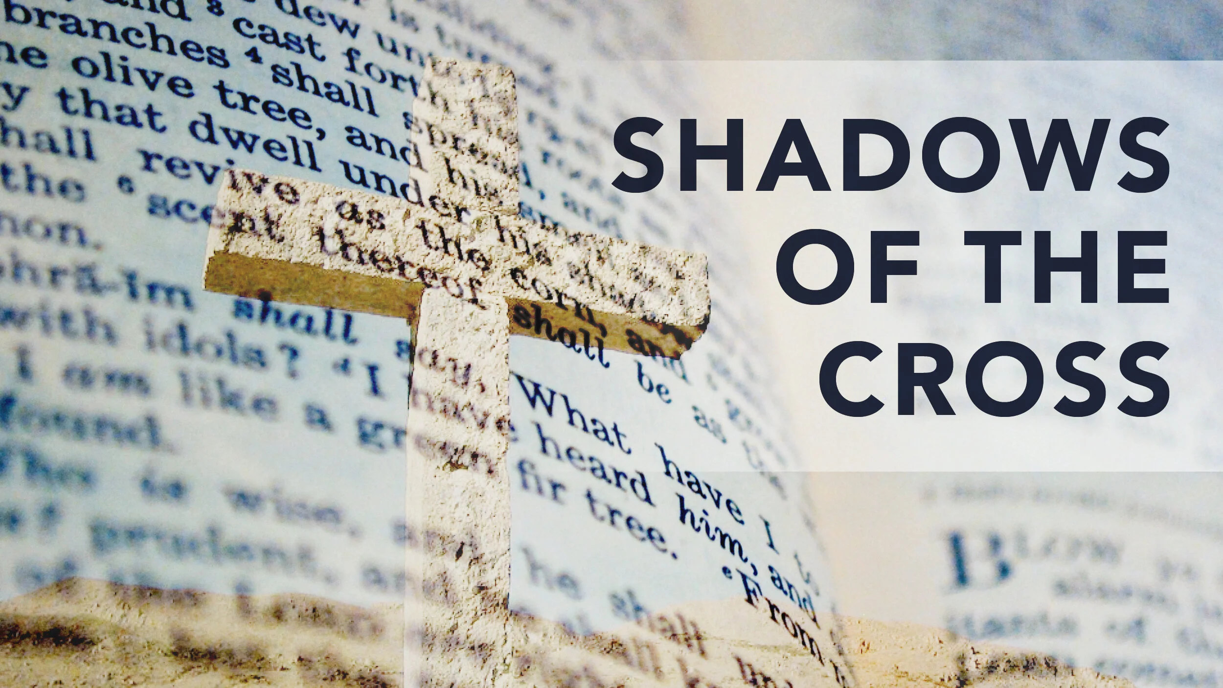 An update about the Community Room on King &amp; Shadows of the Cross Week 4