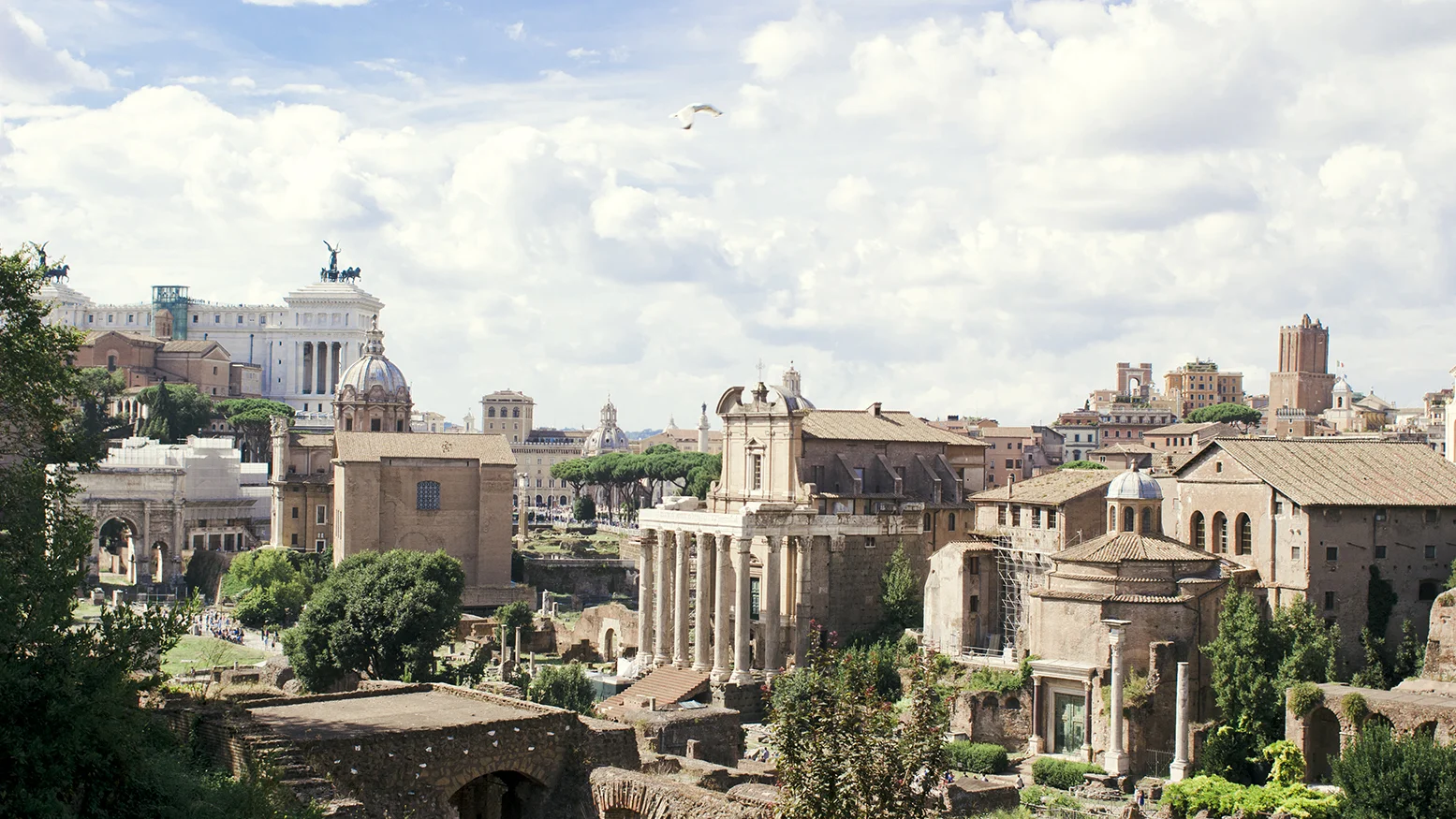 roma.jpg