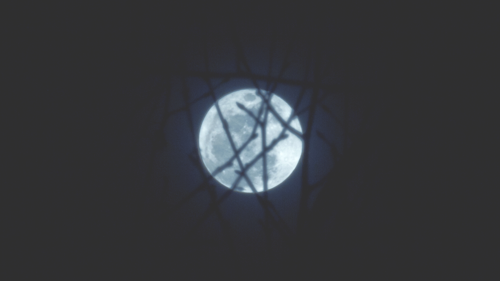 MOON.jpg