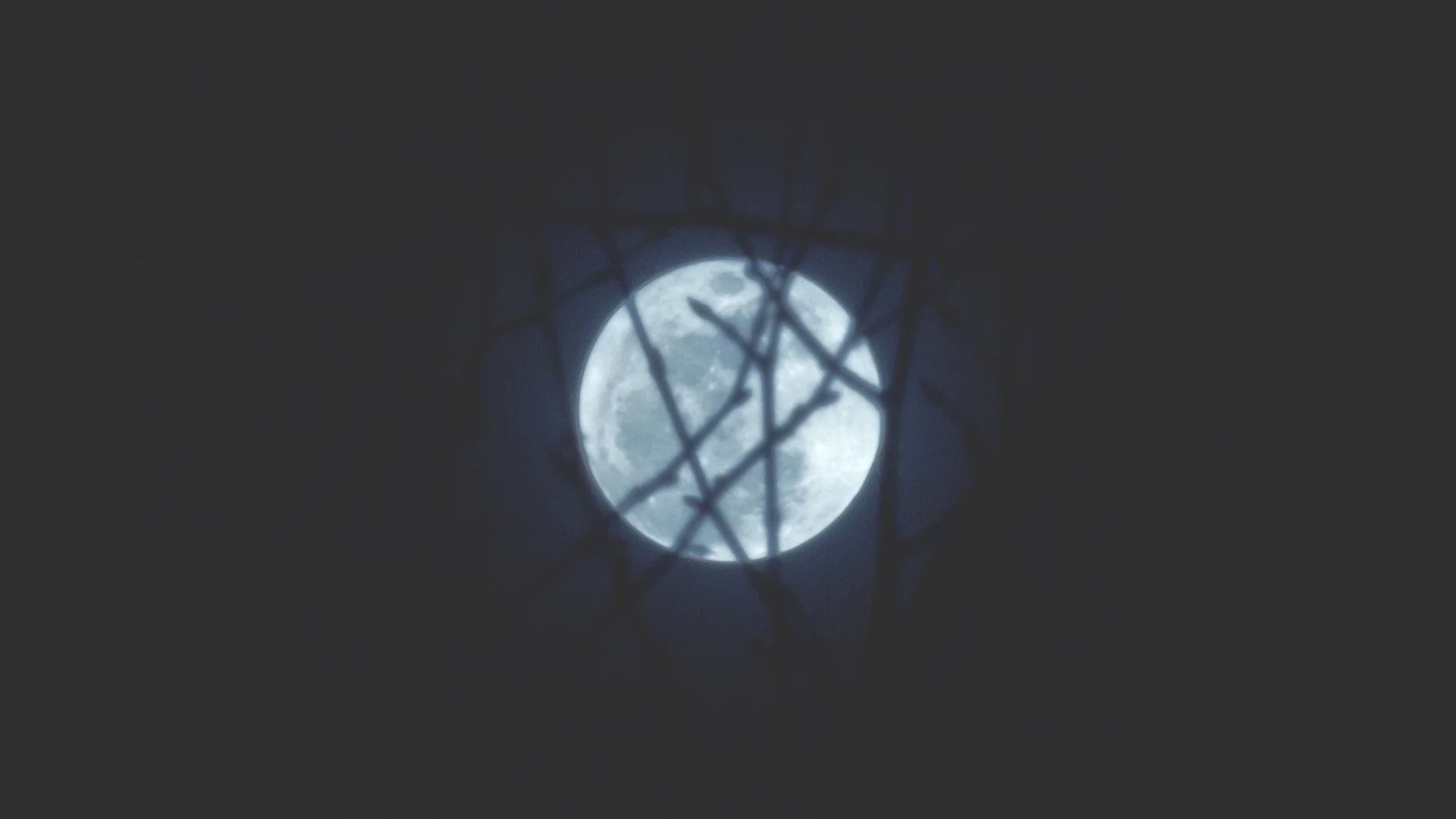 MOON.jpg
