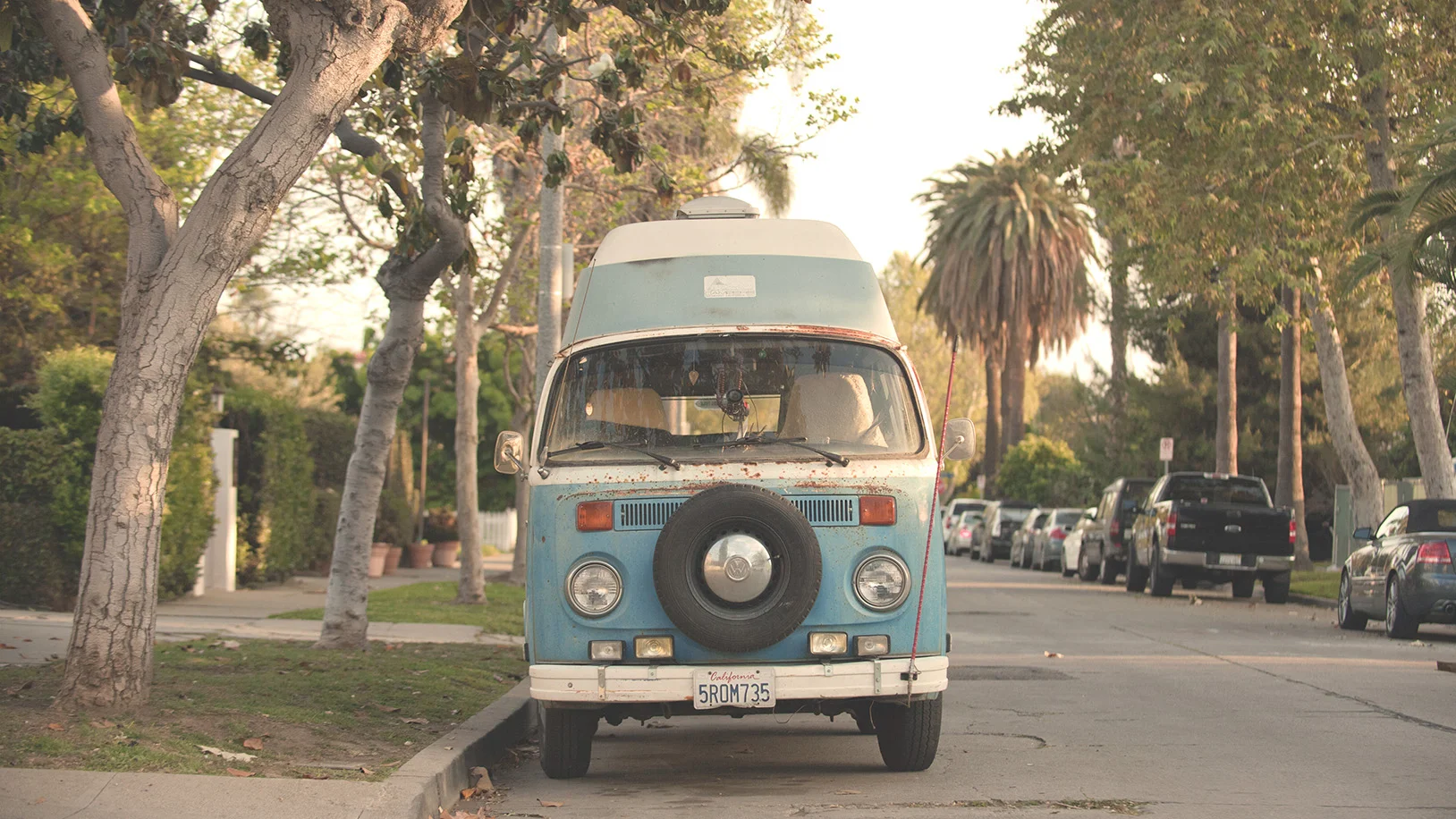 VW2.jpg