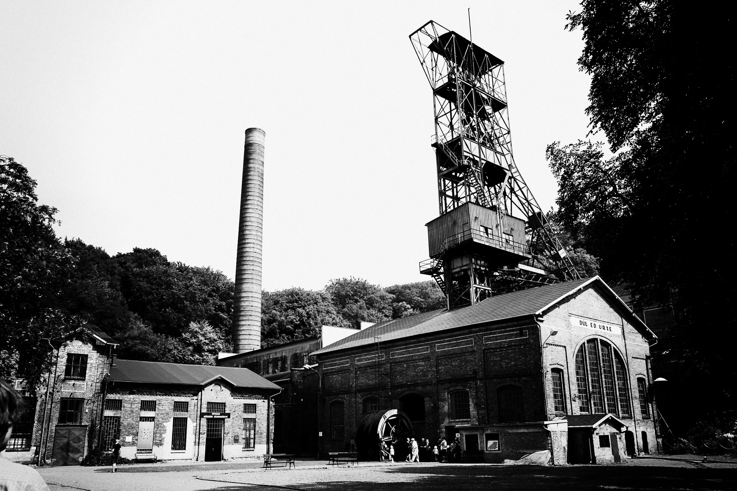IMG_6426BW.jpg
