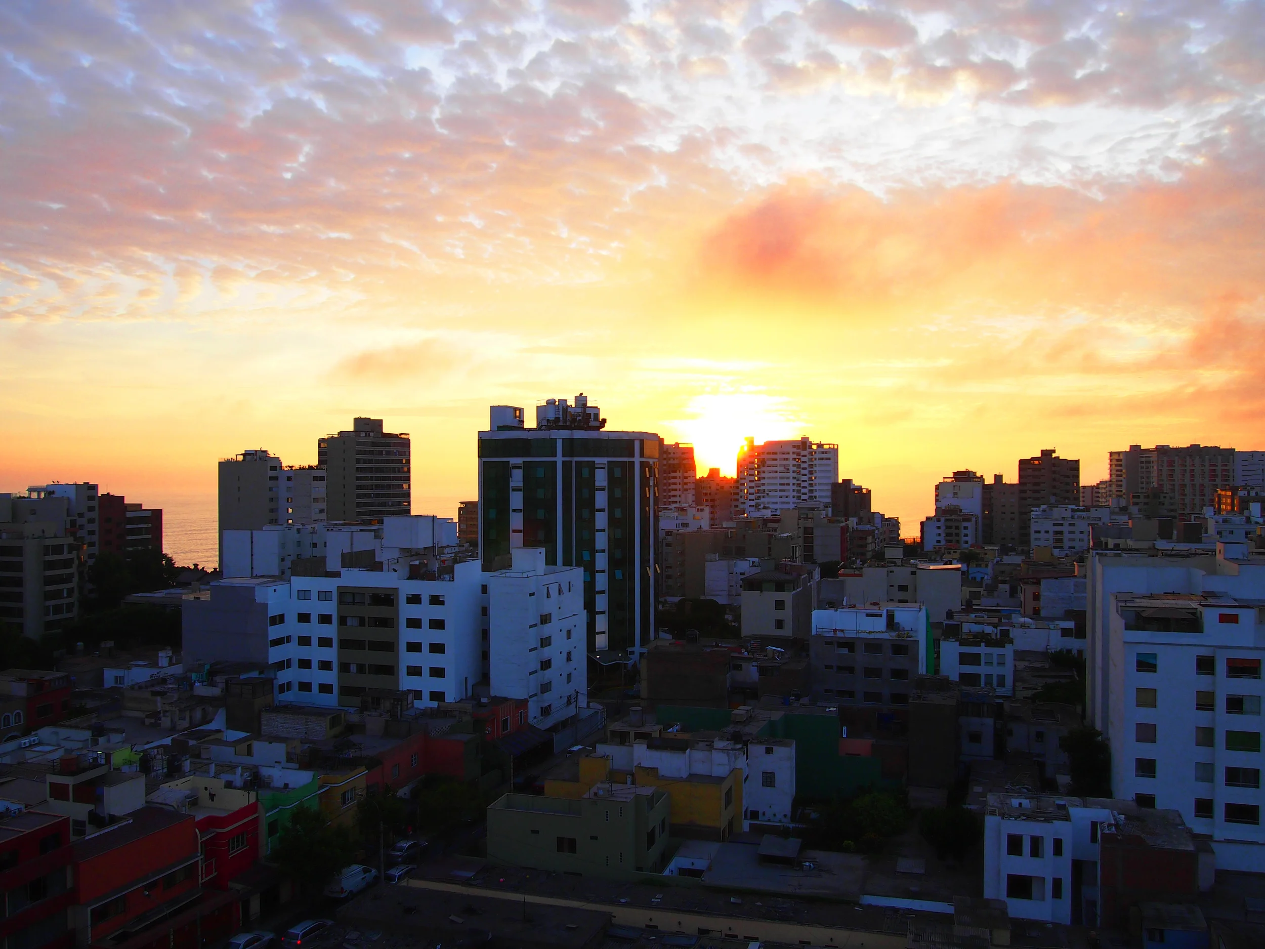 P1010686a.jpg