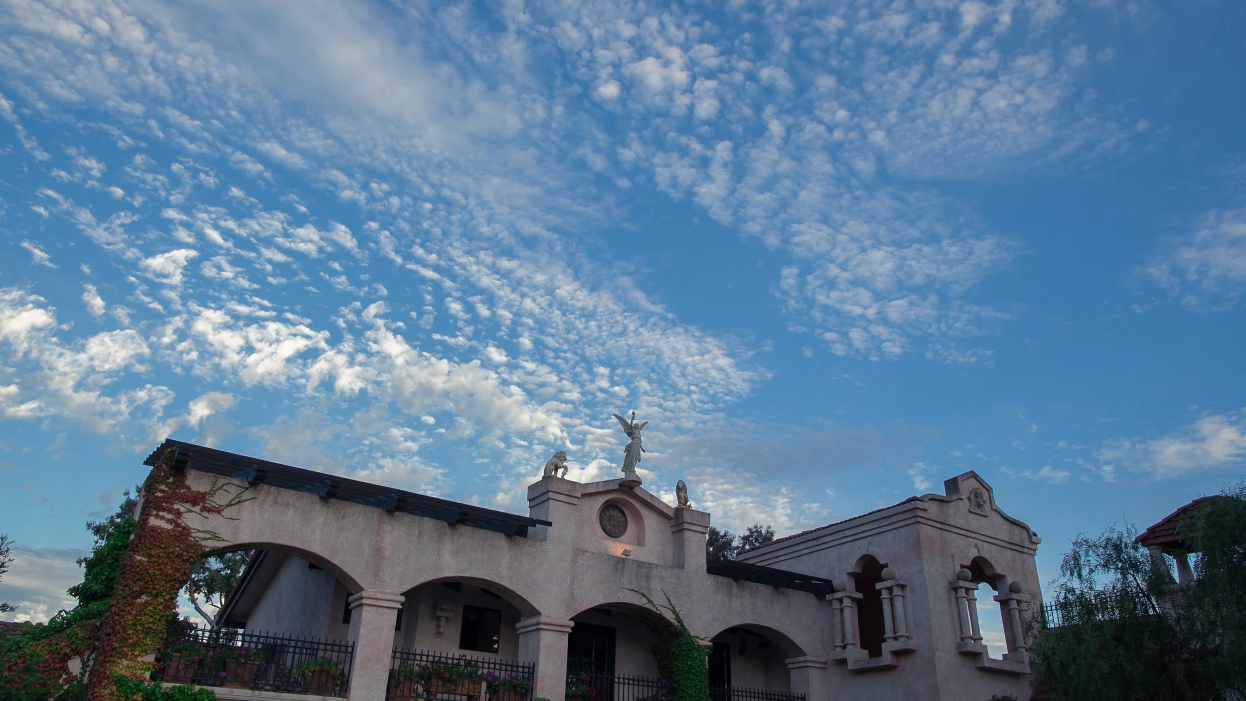 Marcel & Sasha | Extended Feature Film