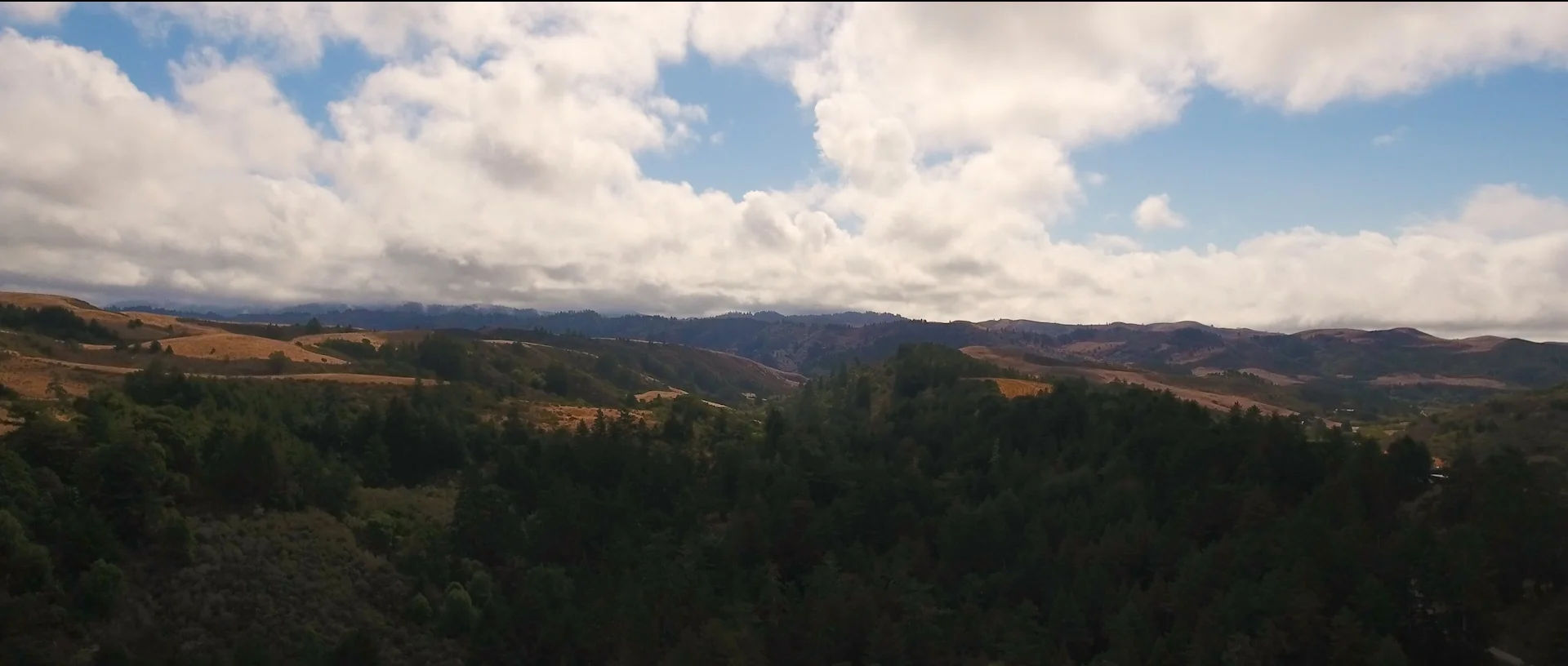 Featured on Junebug Weddings ~ Leyla and Matthew’s Estate Wedding in the Redwoods ~ Short Film