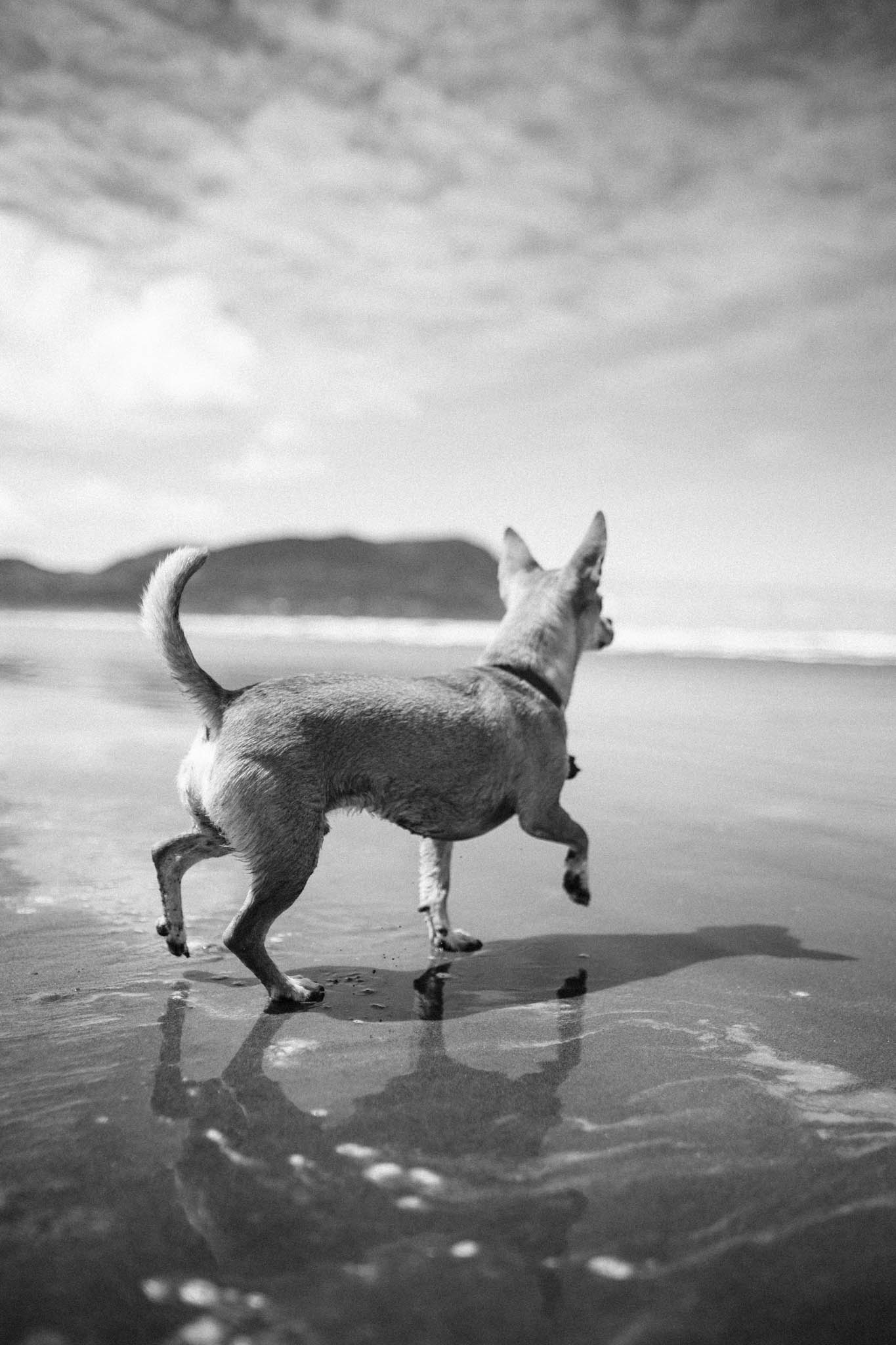 Oregon-Coast-BW-0218.jpg