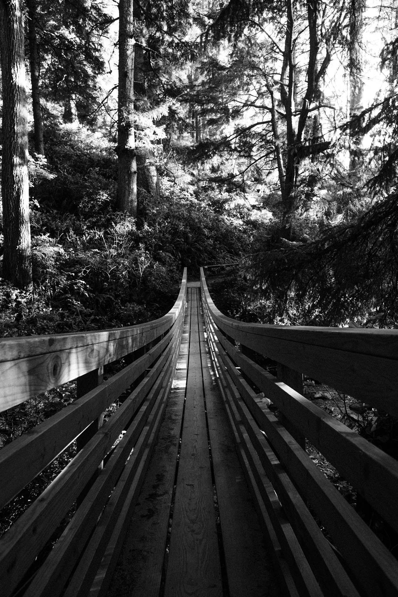 Oregon-Coast-BW-0522.jpg