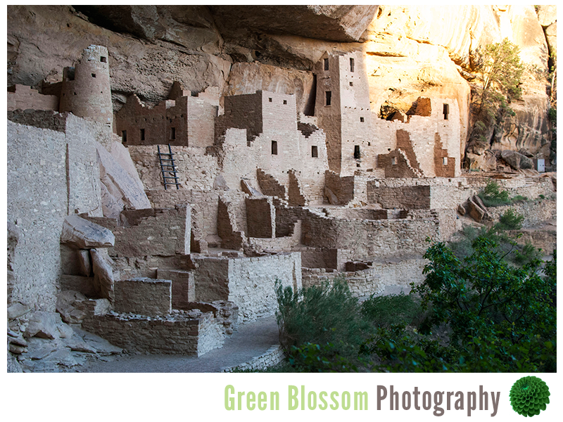 Mesa-Verde-29.png