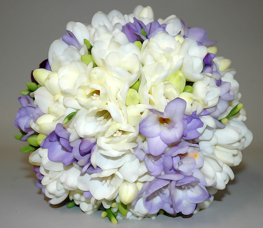filter freesia.jpg