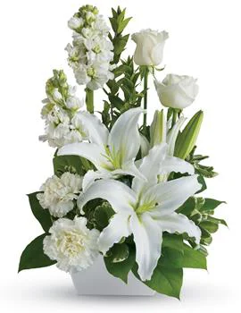 Example image of Arrangement Pictured : Code AC029 $77.00
