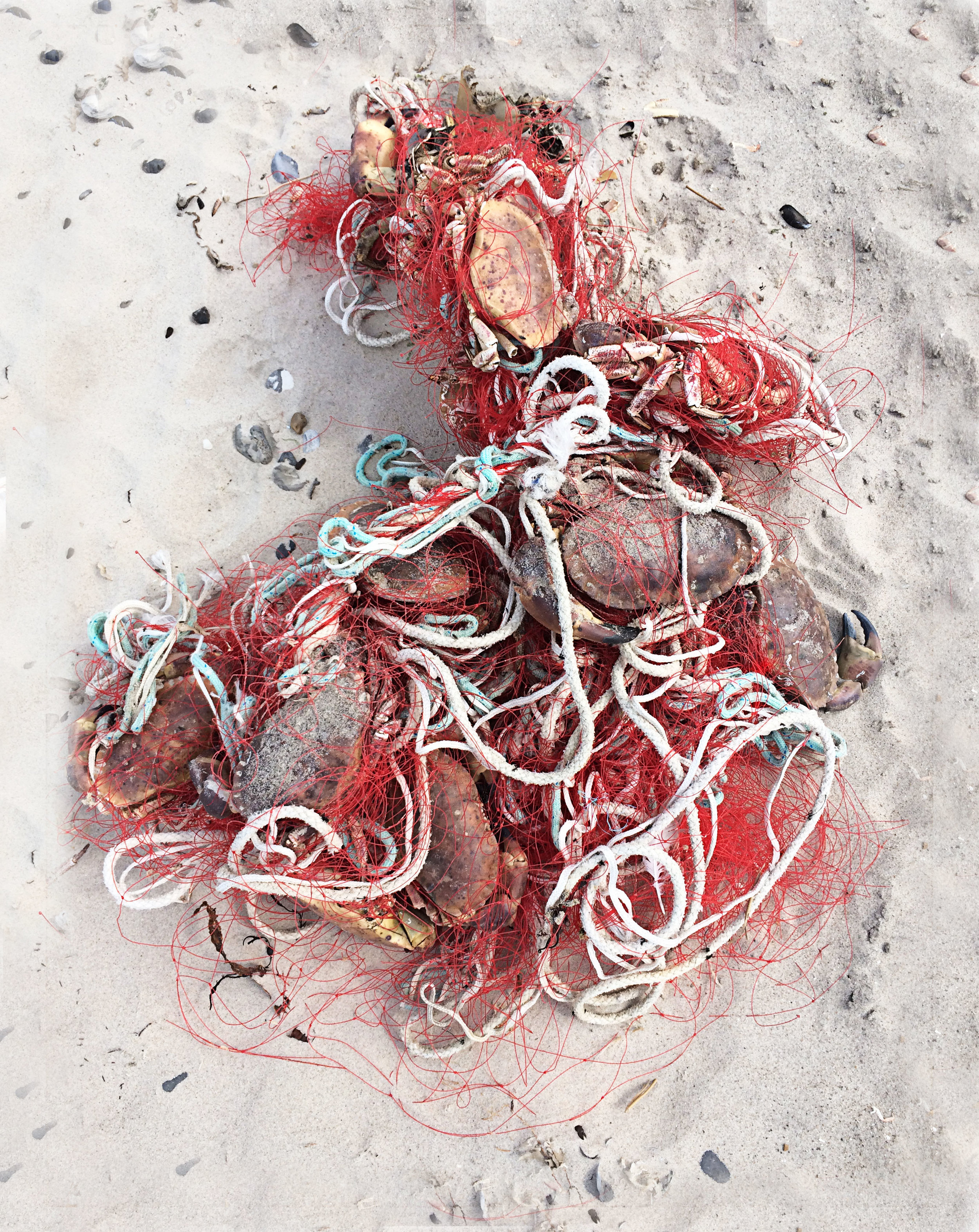 Wreckage #062 / Hanstholm Beach, Denmark / Summer 2015