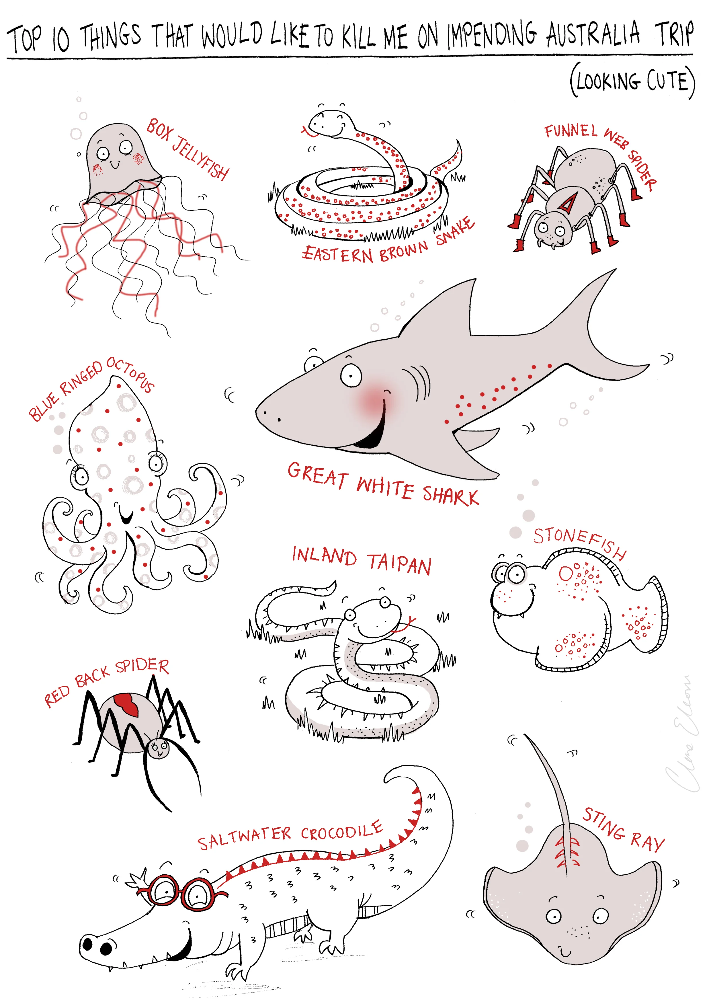 Australian animals.jpg