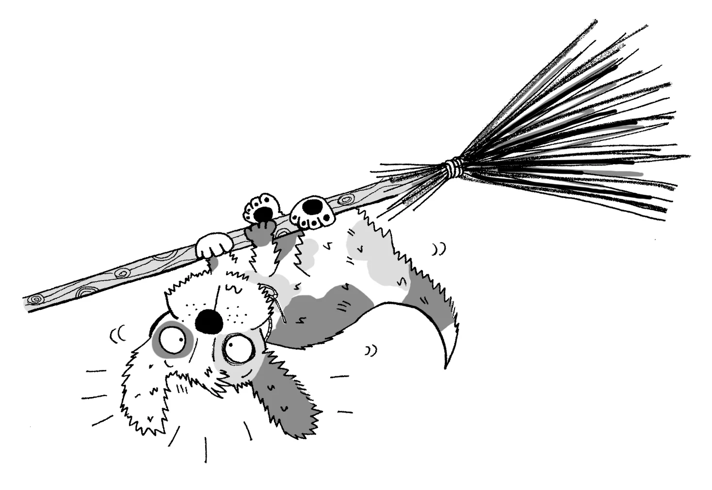 29 Sparky falling.jpg