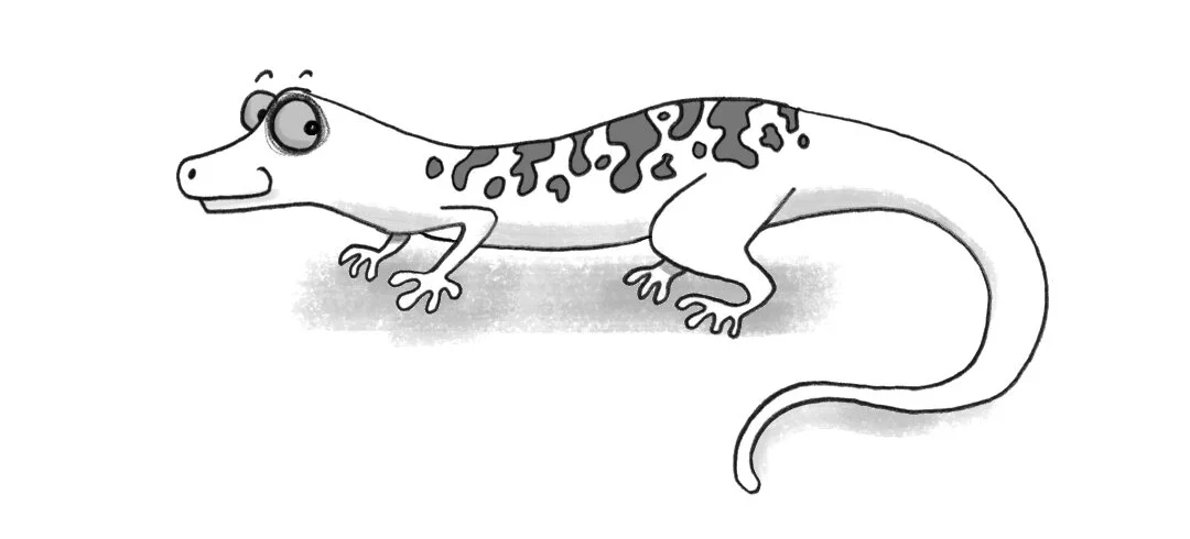 lizard.jpg