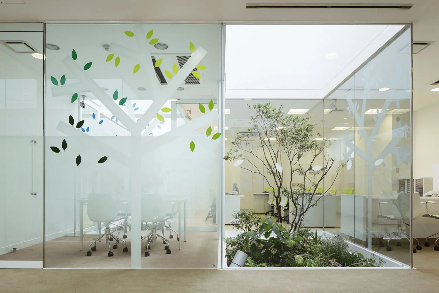 8_emmanuelle_moureaux_sugamo_shinkin_bank_tokiwadai.jpg