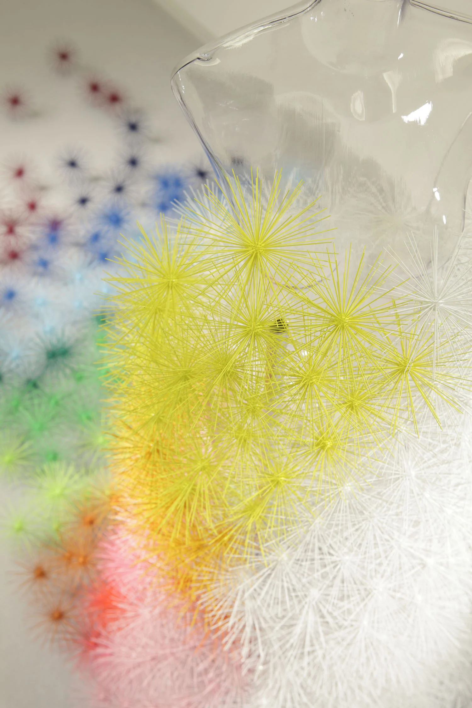 5_emmanuelle_moureaux_toge.jpg