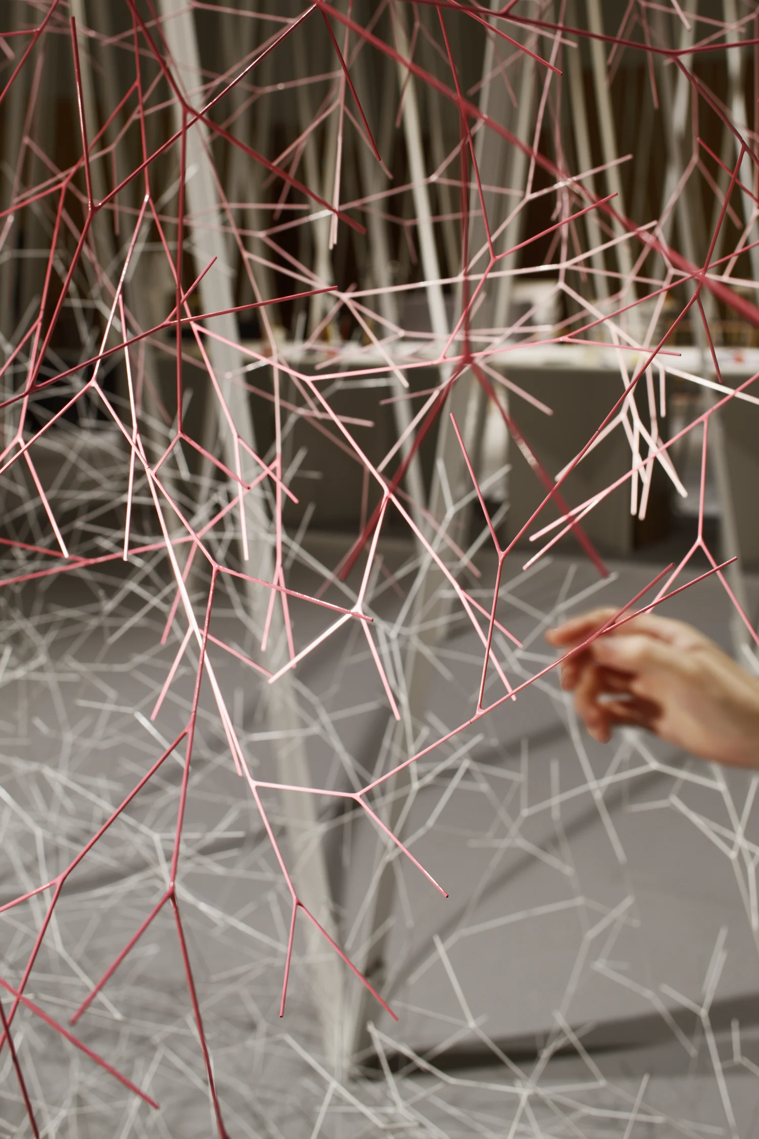 6_emmanuelle_moureaux_eda.jpg